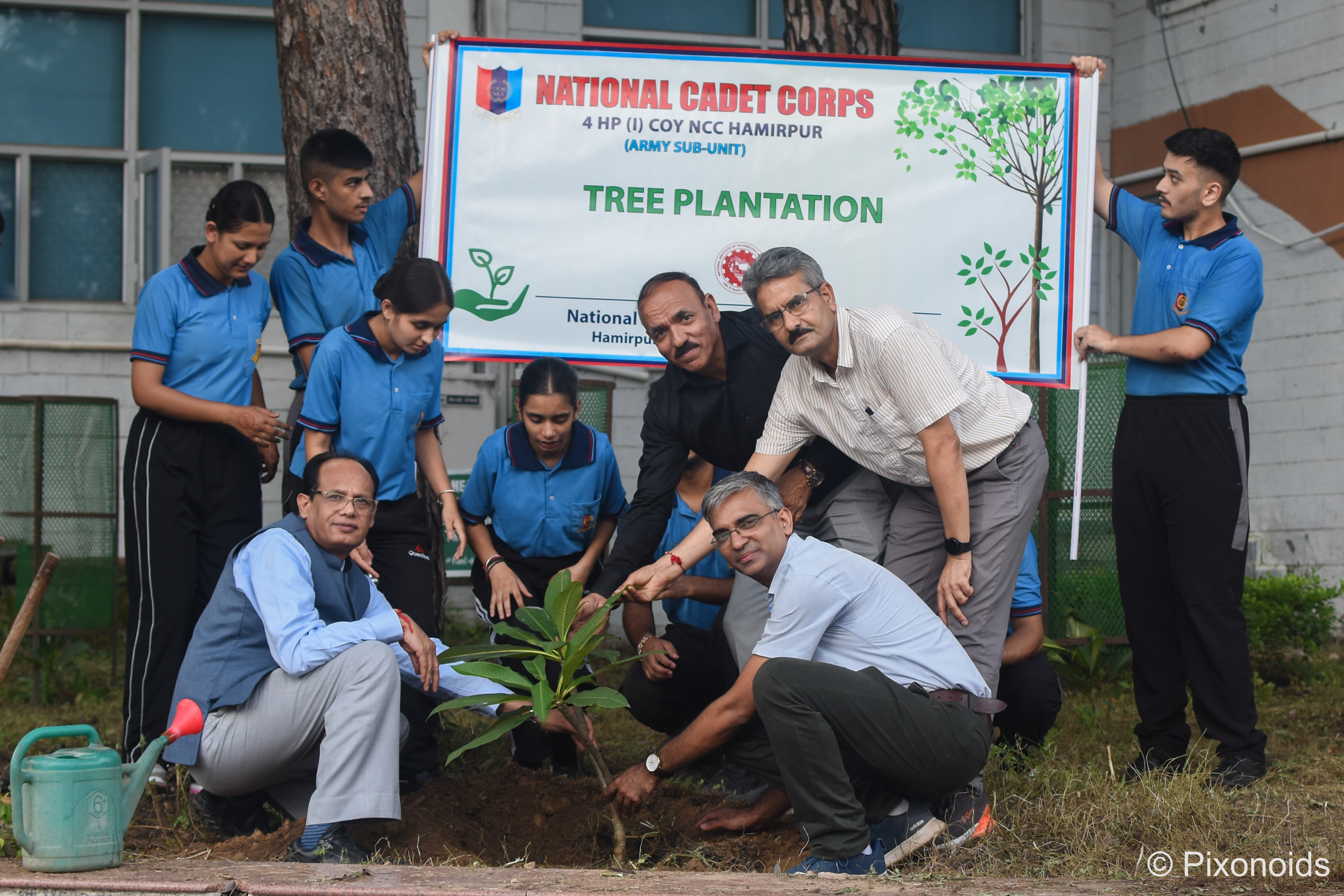 Tree Plantation Drive