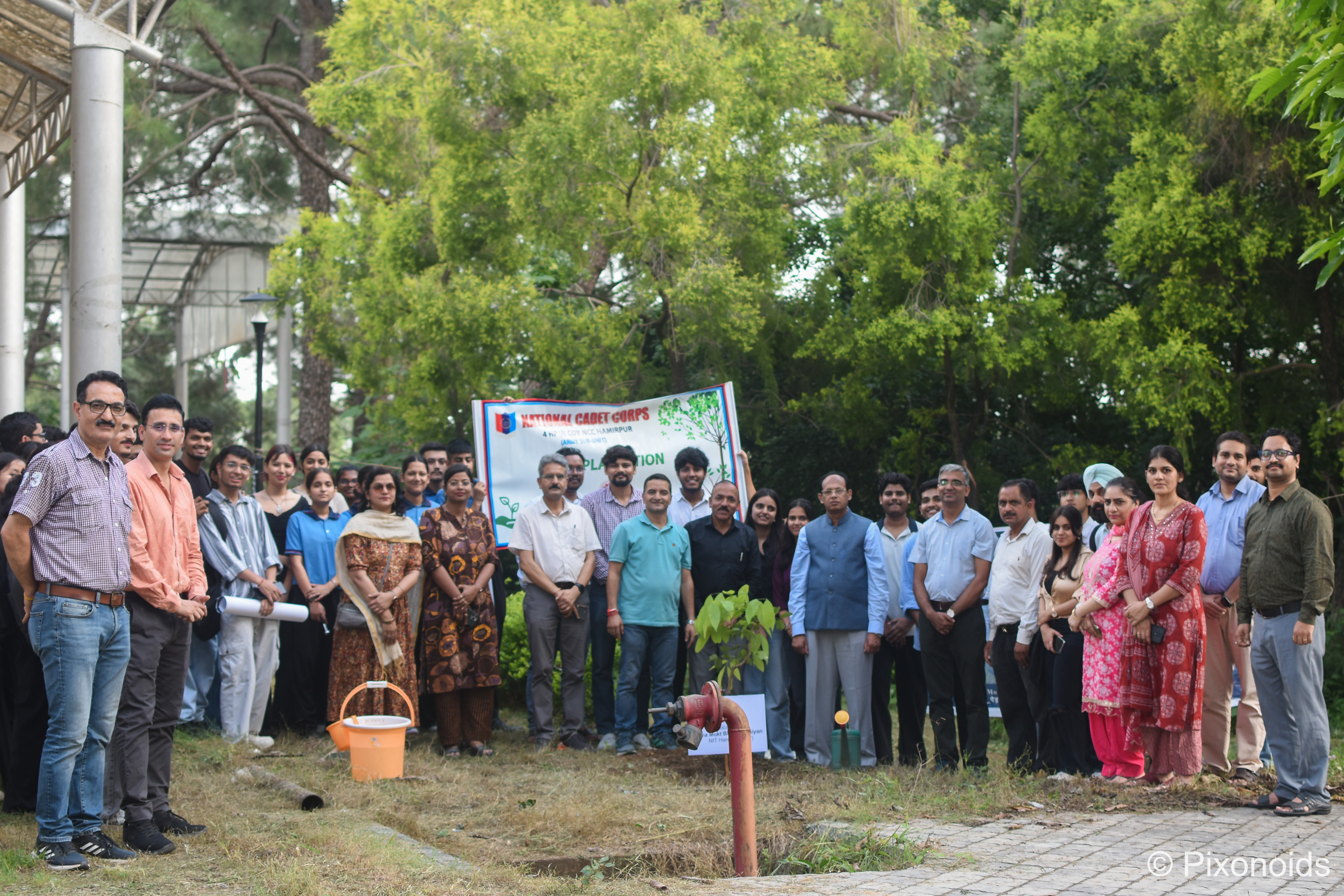 Tree Plantation Drive